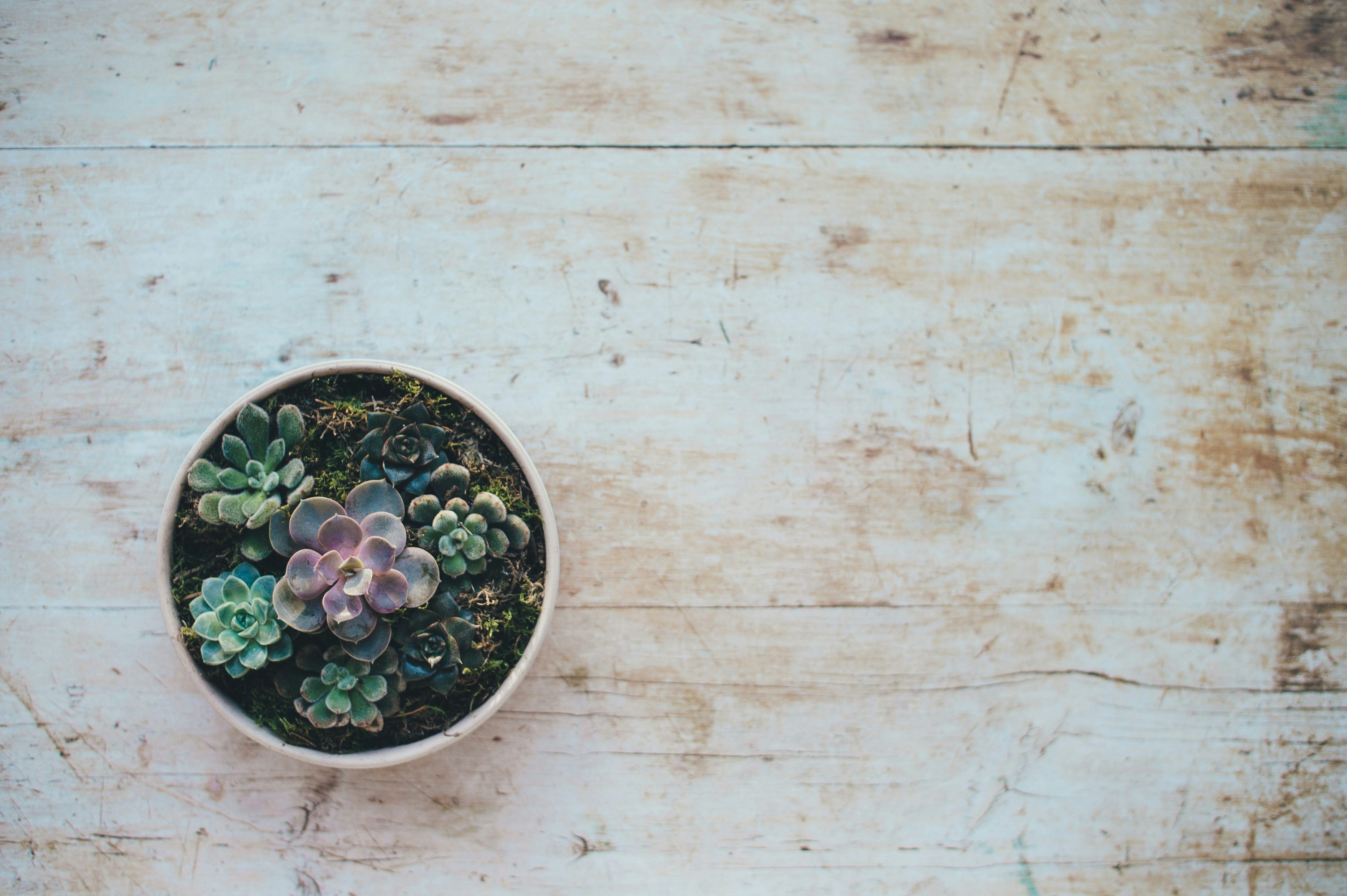 annie-spratt-zu-OdjJRa0w-unsplash